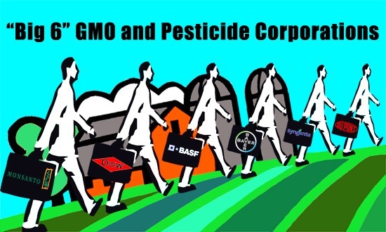 "Big 6" GMO and Pesticide Corporations