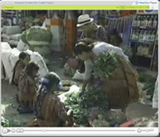 Central American market scene, from a VNR on CAFTA.