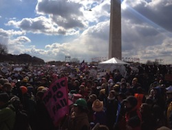 Climate change rally in Washington, DC (February 2013)