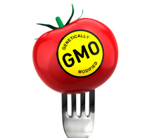 GMO Labeled Tomato