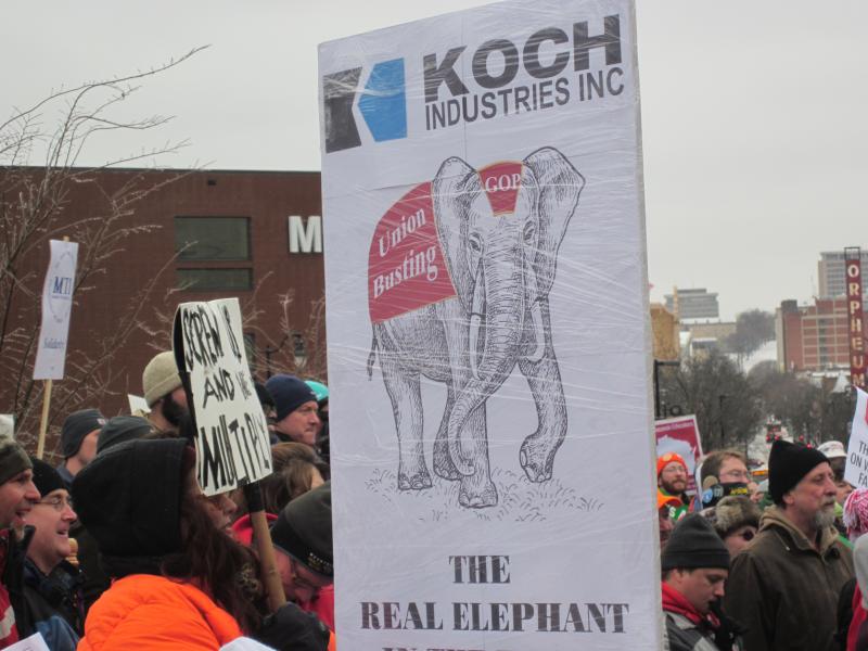 Koch elephant
