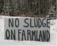 Andy Angele's sign on Wright Creek Road (Source: 250 News)