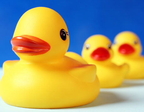Phthalates in Rubber Duckies
