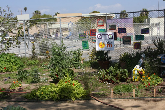 The garden at Westminster Avenue Elementary School, with an open bag of Kellogg's Amend